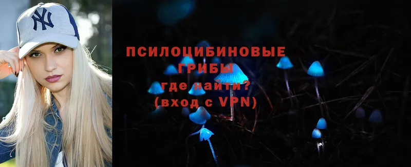 гидра онион  где продают наркотики  Николаевск-на-Амуре  Галлюциногенные грибы MAGIC MUSHROOMS 